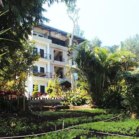 Coorg Jungle Camp Resort Suntikoppa Exteriér fotografie